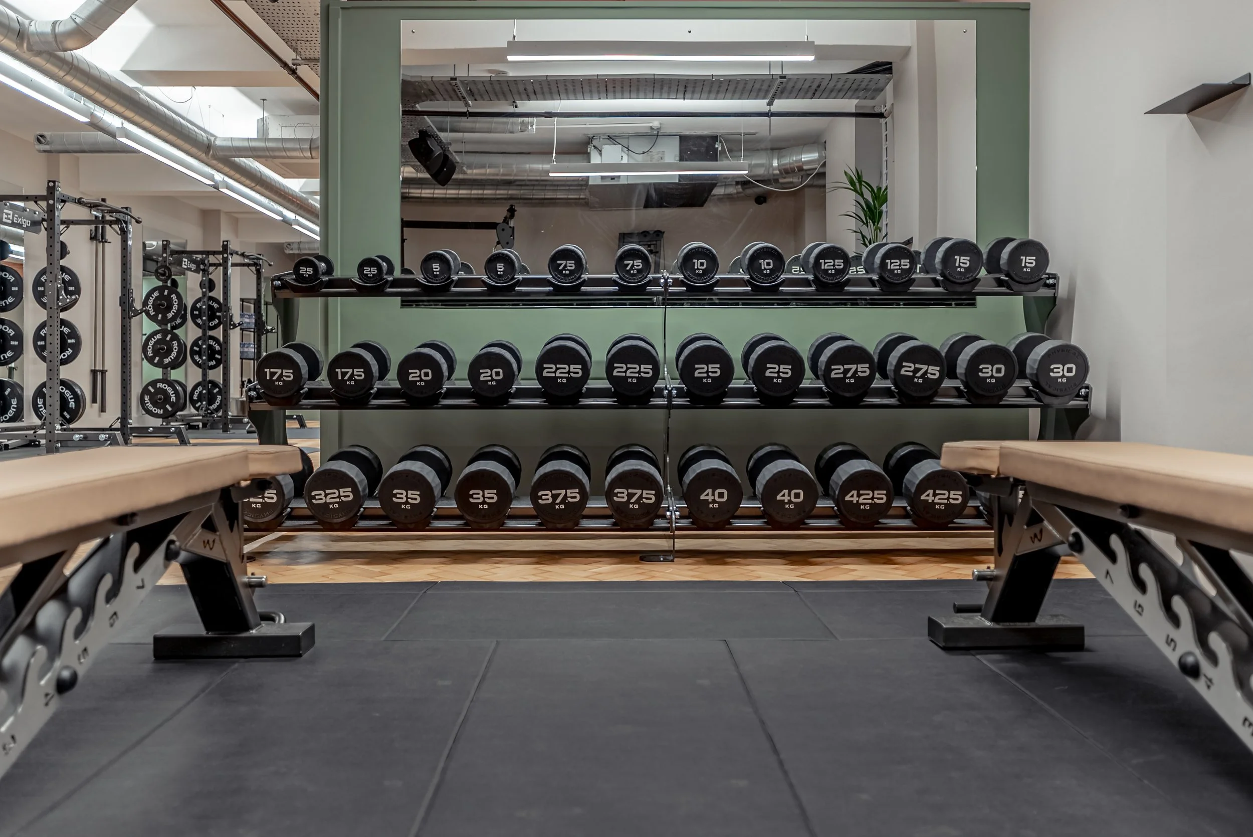 Three tiers of dumbbells seen from floor level between two tan leather benches